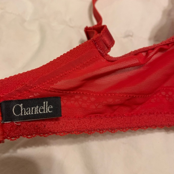 Chantelle Festivite Lace Plunge Bra - Picture 7 of 9